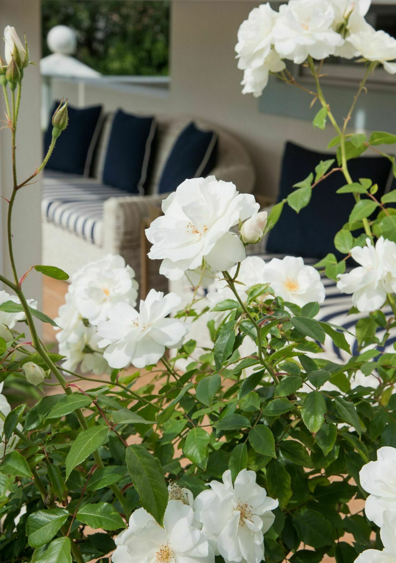 The Light House Boutique Suites Paarl Eksteriør bilde